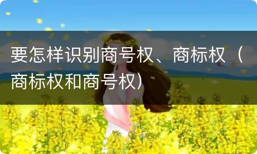 要怎样识别商号权、商标权（商标权和商号权）
