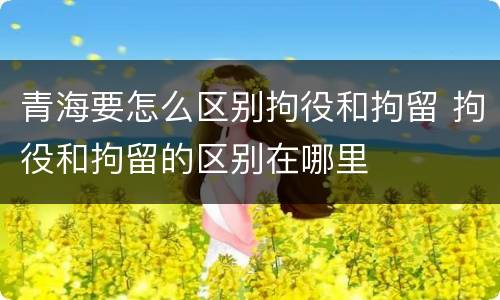 青海要怎么区别拘役和拘留 拘役和拘留的区别在哪里