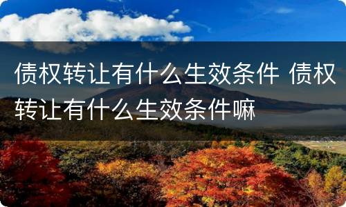 债权转让有什么生效条件 债权转让有什么生效条件嘛