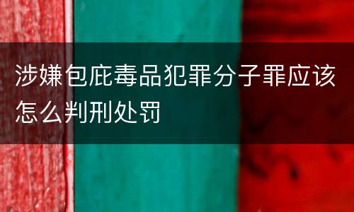 涉嫌包庇毒品犯罪分子罪应该怎么判刑处罚