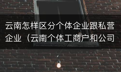 云南怎样区分个体企业跟私营企业（云南个体工商户和公司）