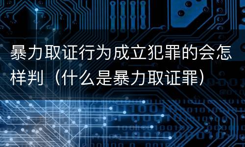 暴力取证行为成立犯罪的会怎样判（什么是暴力取证罪）