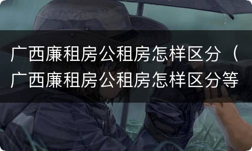 广西廉租房公租房怎样区分（广西廉租房公租房怎样区分等级）