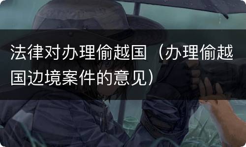 法律对办理偷越国（办理偷越国边境案件的意见）