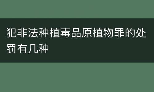 犯非法种植毒品原植物罪的处罚有几种
