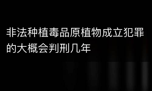 非法种植毒品原植物成立犯罪的大概会判刑几年