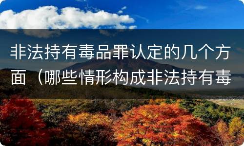 非法持有毒品罪认定的几个方面（哪些情形构成非法持有毒品罪）
