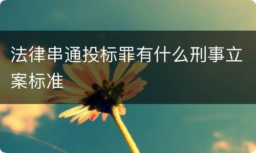 法律串通投标罪有什么刑事立案标准