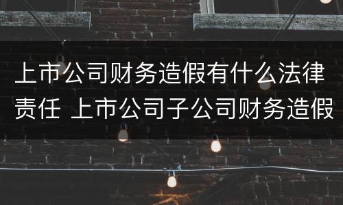上市公司财务造假有什么法律责任 上市公司子公司财务造假法律责任