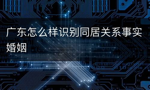 广东怎么样识别同居关系事实婚姻