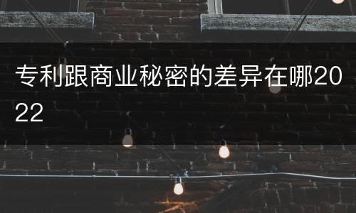 专利跟商业秘密的差异在哪2022