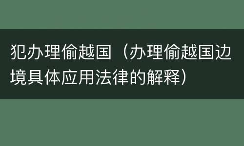 犯办理偷越国（办理偷越国边境具体应用法律的解释）