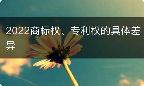 2022商标权、专利权的具体差异