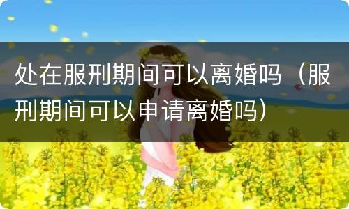 处在服刑期间可以离婚吗（服刑期间可以申请离婚吗）