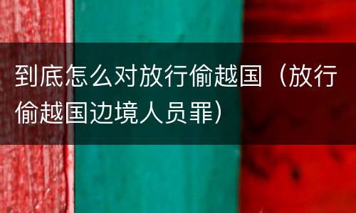 到底怎么对放行偷越国（放行偷越国边境人员罪）