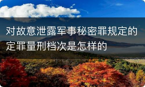 对故意泄露军事秘密罪规定的定罪量刑档次是怎样的