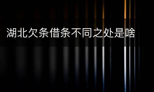 湖北欠条借条不同之处是啥