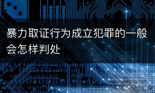 暴力取证行为成立犯罪的一般会怎样判处