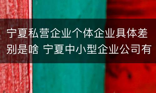 宁夏私营企业个体企业具体差别是啥 宁夏中小型企业公司有哪些