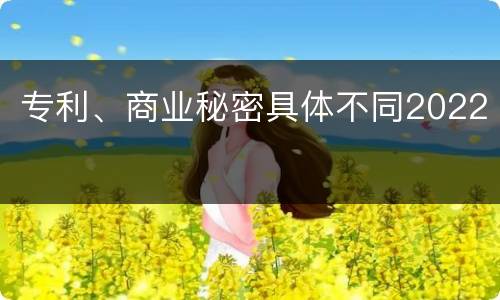 专利、商业秘密具体不同2022