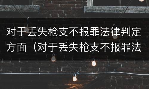 对于丢失枪支不报罪法律判定方面（对于丢失枪支不报罪法律判定方面的规定）
