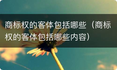 商标权的客体包括哪些（商标权的客体包括哪些内容）