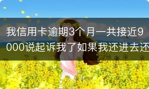 我信用卡逾期3个月一共接近9000说起诉我了如果我还进去还会有事吗