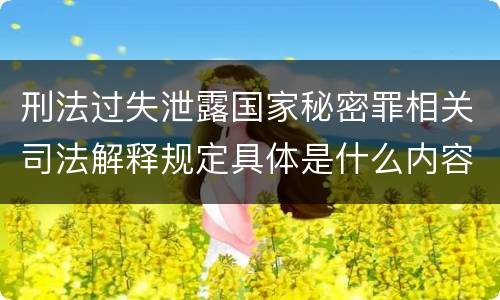 刑法过失泄露国家秘密罪相关司法解释规定具体是什么内容