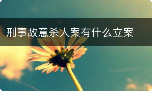 刑事故意杀人案有什么立案