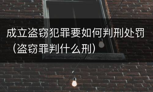 成立盗窃犯罪要如何判刑处罚（盗窃罪判什么刑）