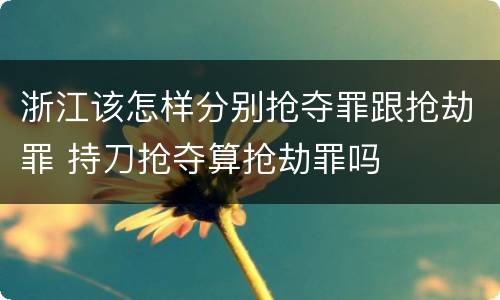 浙江该怎样分别抢夺罪跟抢劫罪 持刀抢夺算抢劫罪吗
