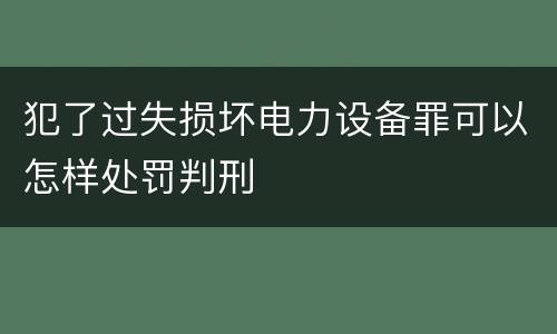 犯了过失损坏电力设备罪可以怎样处罚判刑