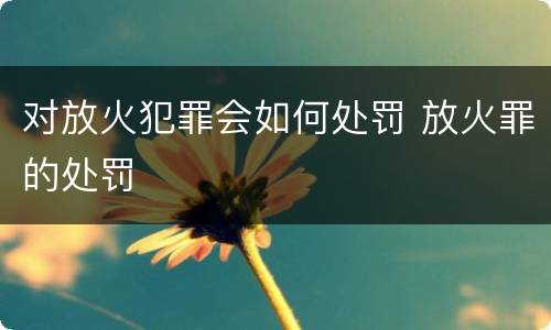 对放火犯罪会如何处罚 放火罪的处罚