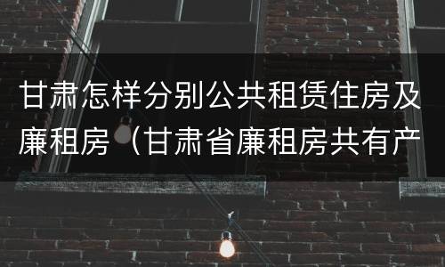 甘肃怎样分别公共租赁住房及廉租房（甘肃省廉租房共有产权管理办法）