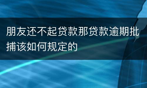朋友还不起贷款那贷款逾期批捕该如何规定的