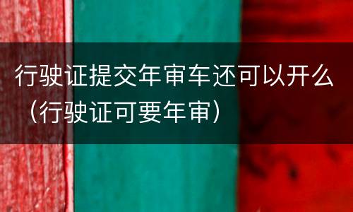 行驶证提交年审车还可以开么（行驶证可要年审）