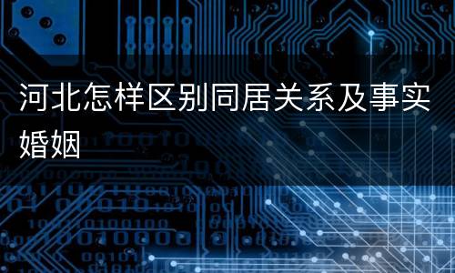 河北怎样区别同居关系及事实婚姻