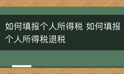 如何填报个人所得税 如何填报个人所得税退税