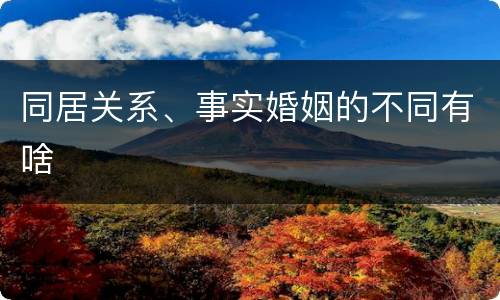 同居关系、事实婚姻的不同有啥