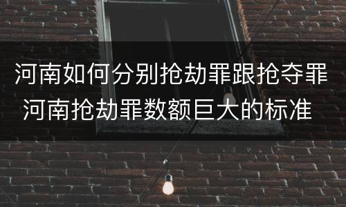 河南如何分别抢劫罪跟抢夺罪 河南抢劫罪数额巨大的标准