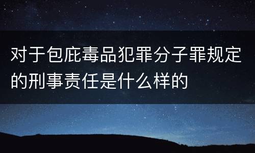 对于包庇毒品犯罪分子罪规定的刑事责任是什么样的