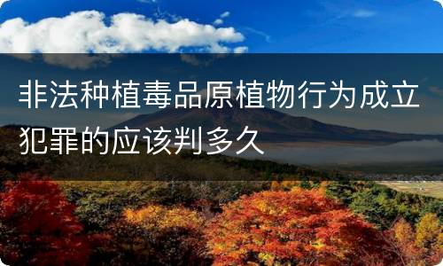 非法种植毒品原植物行为成立犯罪的应该判多久