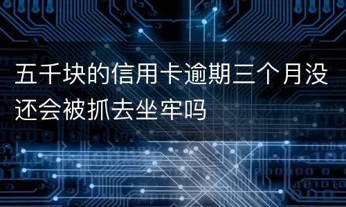 五千块的信用卡逾期三个月没还会被抓去坐牢吗