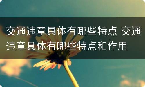 交通违章具体有哪些特点 交通违章具体有哪些特点和作用