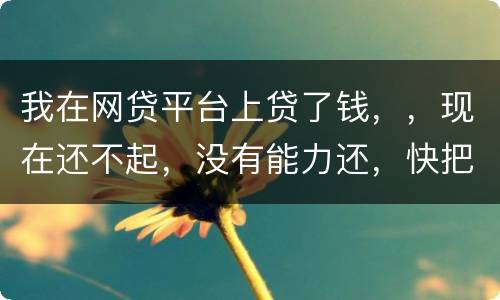 我在网贷平台上贷了钱，，现在还不起，没有能力还，快把家里人气死了，这可怎么办