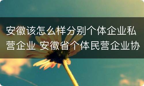 安徽该怎么样分别个体企业私营企业 安徽省个体民营企业协会官网