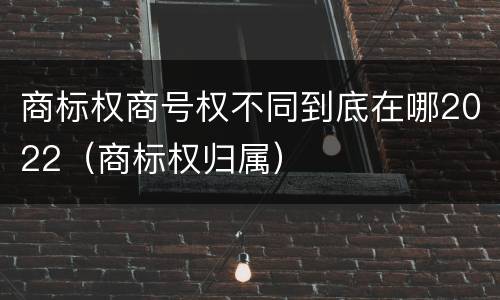 商标权商号权不同到底在哪2022（商标权归属）