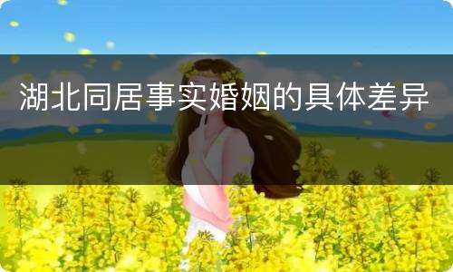 湖北同居事实婚姻的具体差异