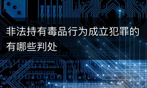 非法持有毒品行为成立犯罪的有哪些判处