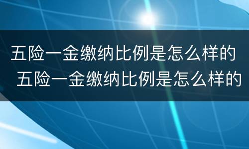五险一金缴纳比例是怎么样的 五险一金缴纳比例是怎么样的啊